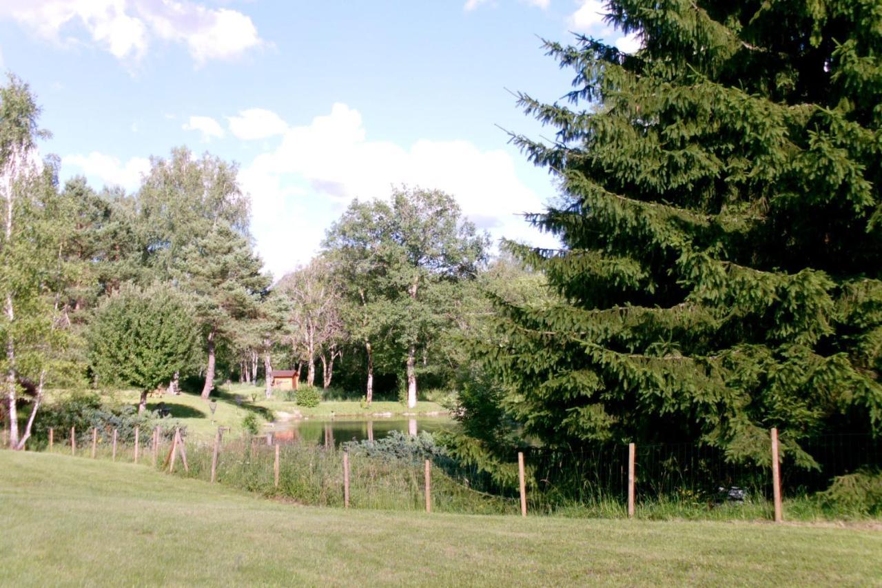 Chalet De Charme - Le Martinet Ney Exterior photo